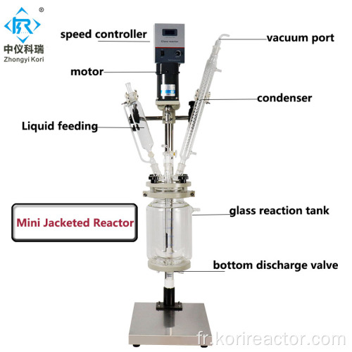 Réacteur en verre chemisé chimique de laboratoire 1L